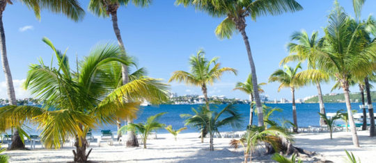 les Caraïbes